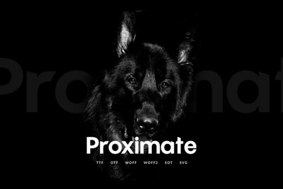 Proximate: A Bold Display Font for Handmade Products